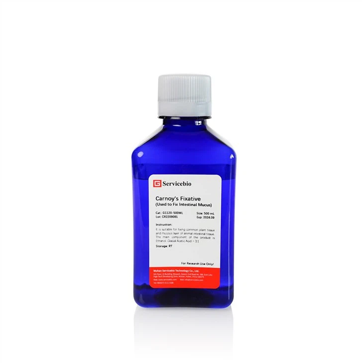 Carnoy's Fixative Solution (Used To Fix Intestinal Mucus)