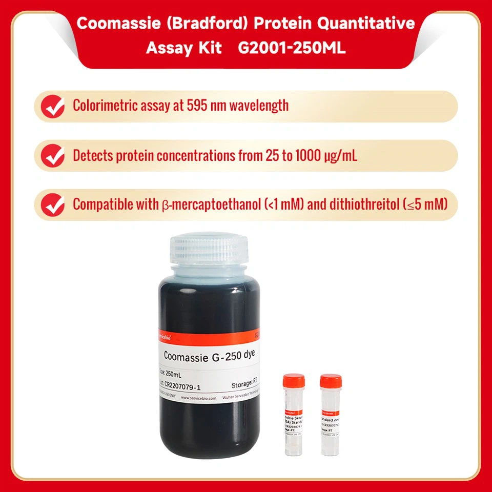 Coomassie (Bradford) Protein Quantitative Assay Kit