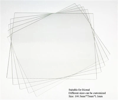 Tấm kính phẳng (Dành cho Servicebio & Bio-Red)