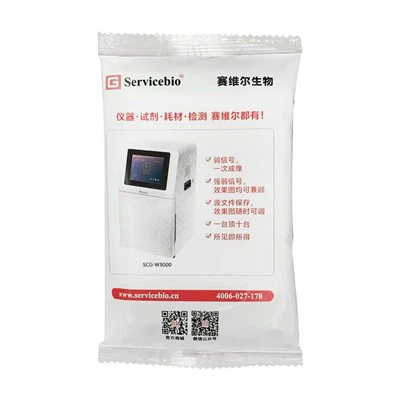 Miếng bọt biển chuyển WB (Không có giấy lọc)